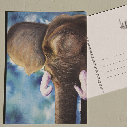 Dieren - Olifant