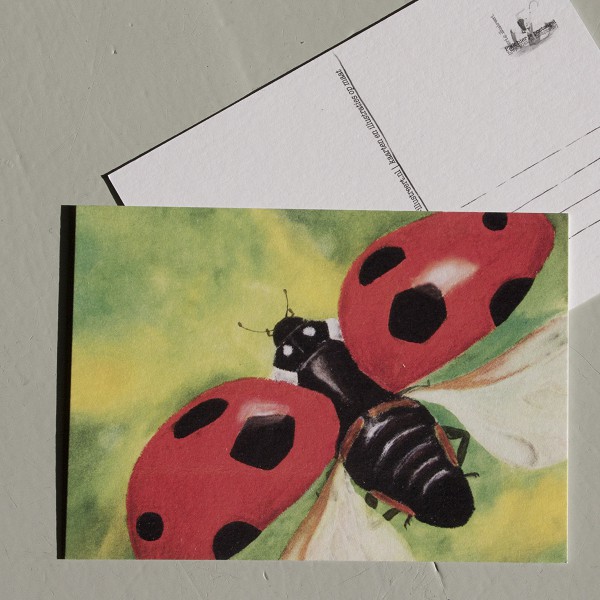 Dieren - Lievebeest